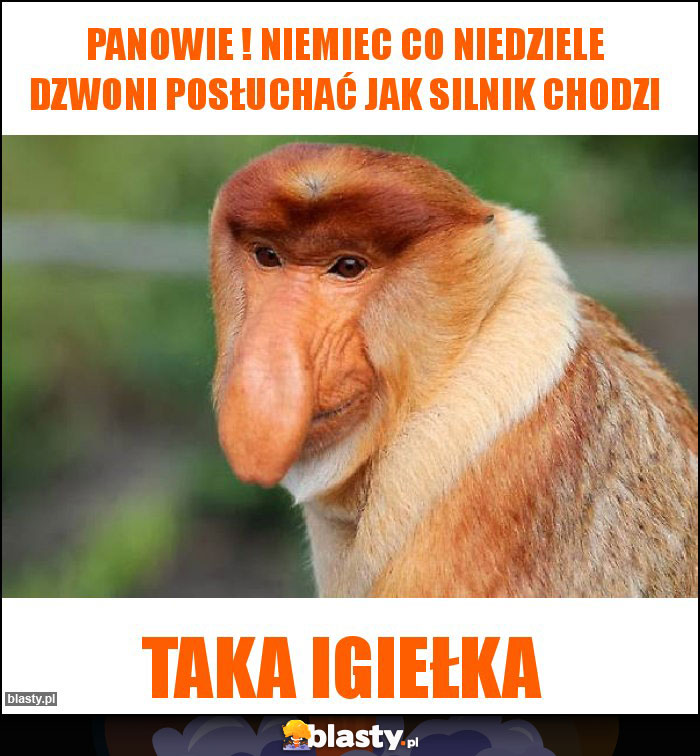 panowie ! Niemiec co niedziele dzwoni posłuchać jak silnik chodzi