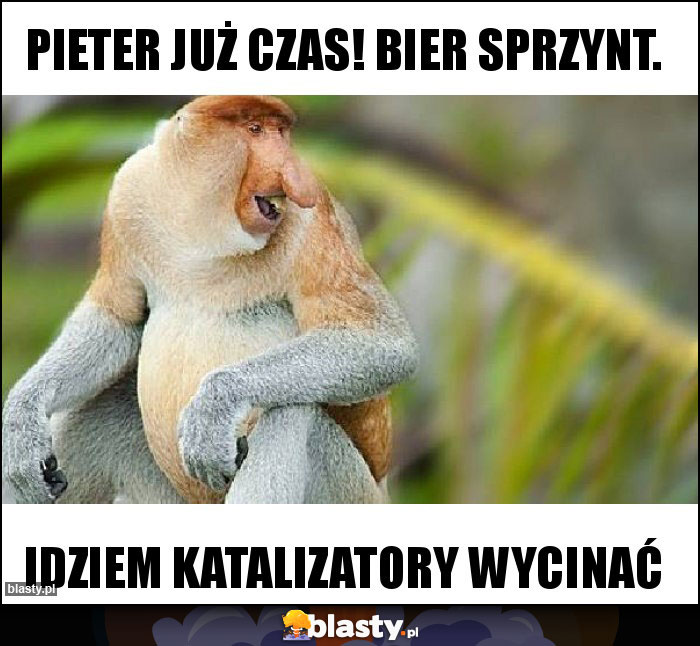 PIETER JUŻ CZAS! BIER SPRZYNT.
