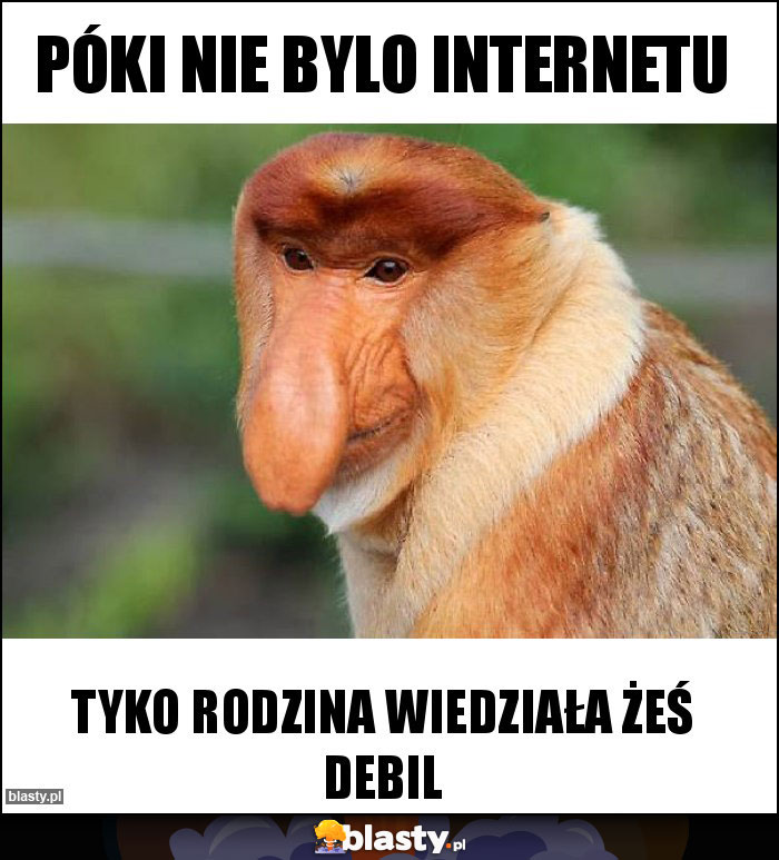 póki nie bylo internetu