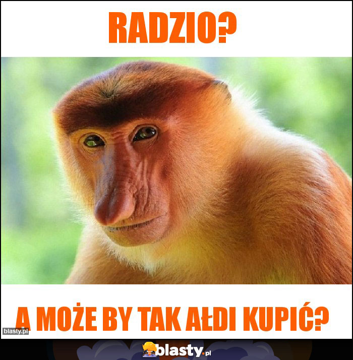 Radzio?