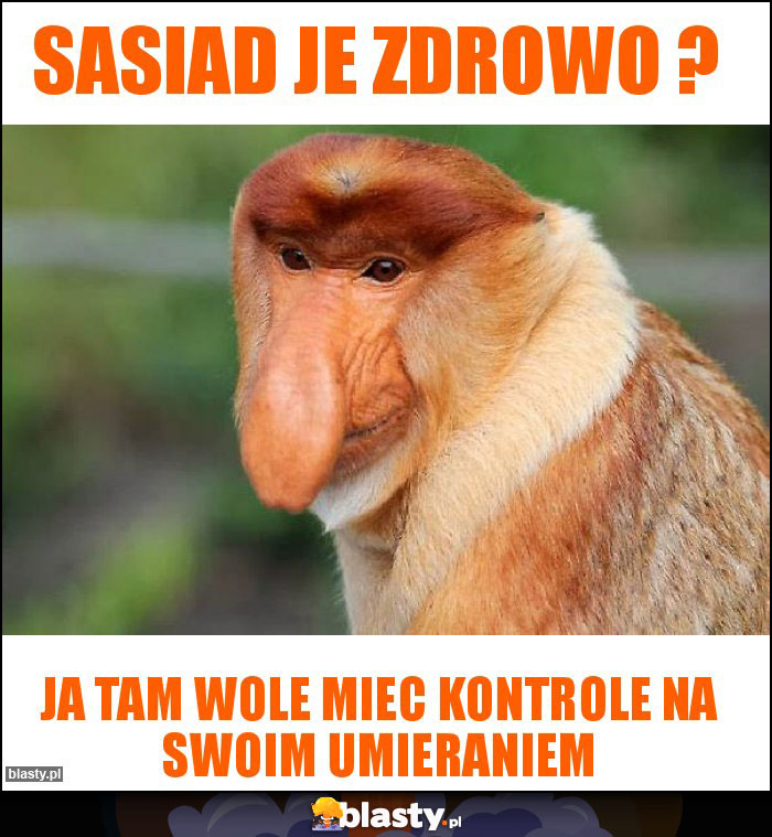 Sasiad je zdrowo ?