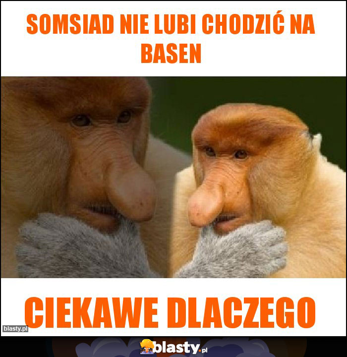 Somsiad nie lubi chodzić na basen