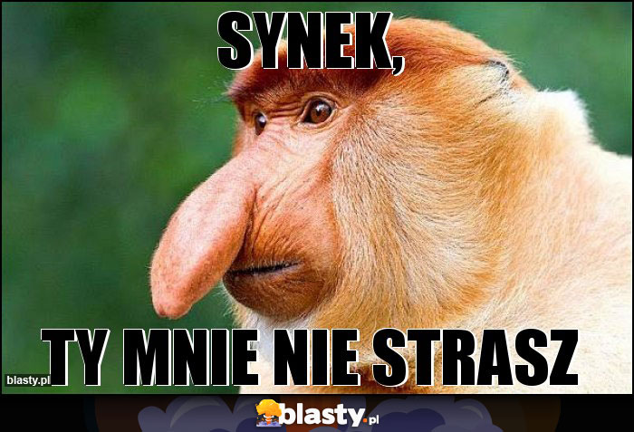 Synek,