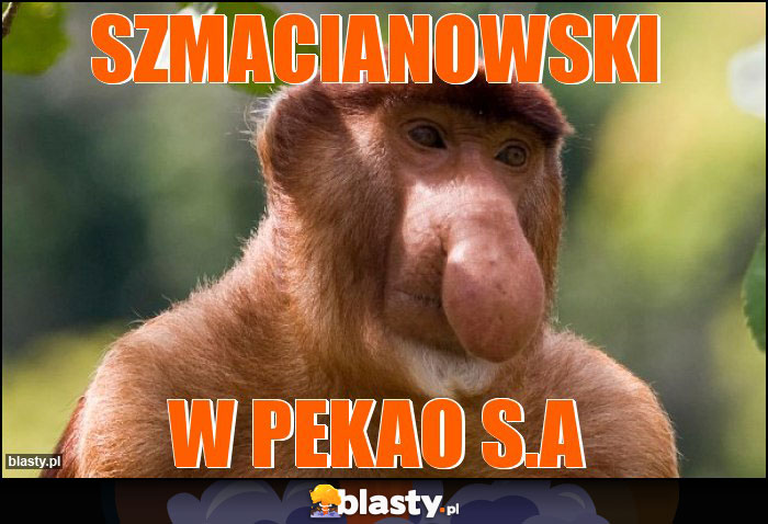 szmacianowski