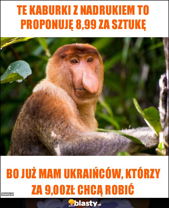 Te kaburki z nadrukiem to proponuję 8,99 za sztukę
