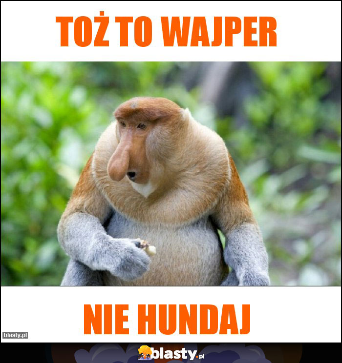 Toż to wajper