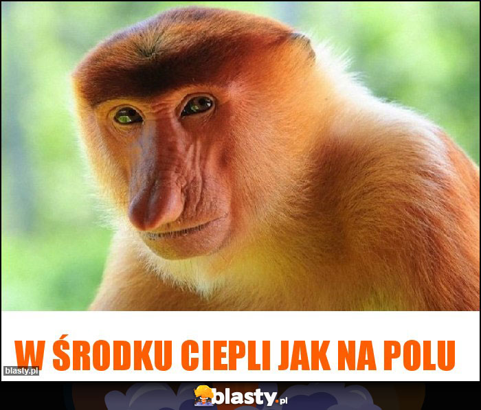 W środku ciepli jak na polu