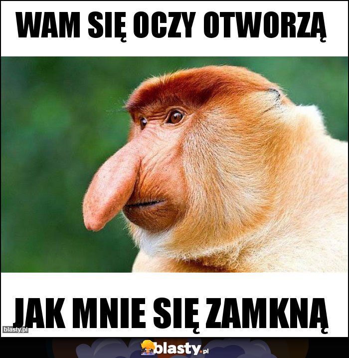 Wam się oczy otworzą