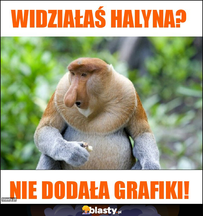 WIDZIAŁAŚ HALYNA?