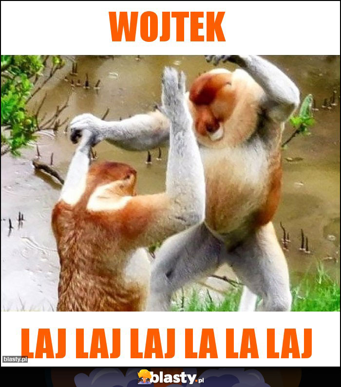 Wojtek