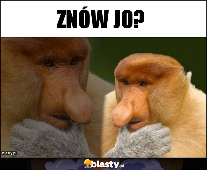 Znów jo?