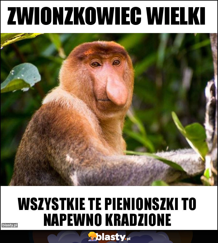 zwionzkowiec wielki