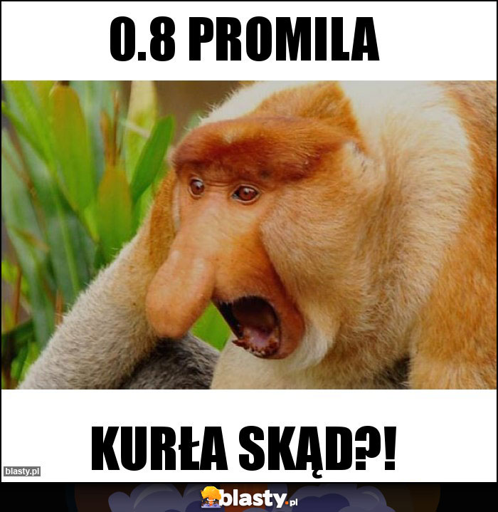 0.8 promila