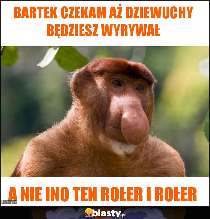 Bartek czekam aż dziewuchy będziesz wyrywał