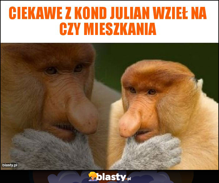Ciekawe z kond Julian wzieł na CzY mieszkania