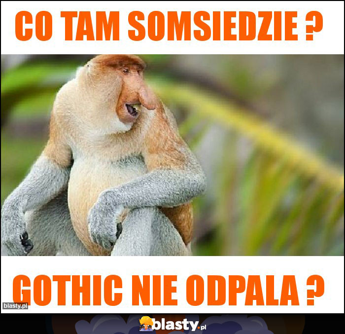 CO TAM SOMSIEDZIE ?