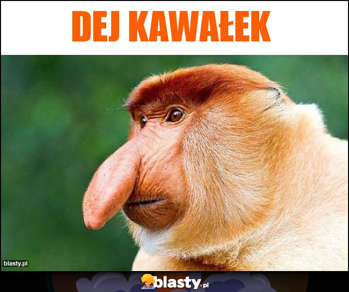 Dej kawałek