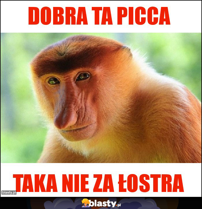 Dobra ta picca