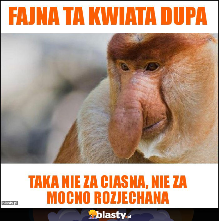 Fajna ta kwiata dupa
