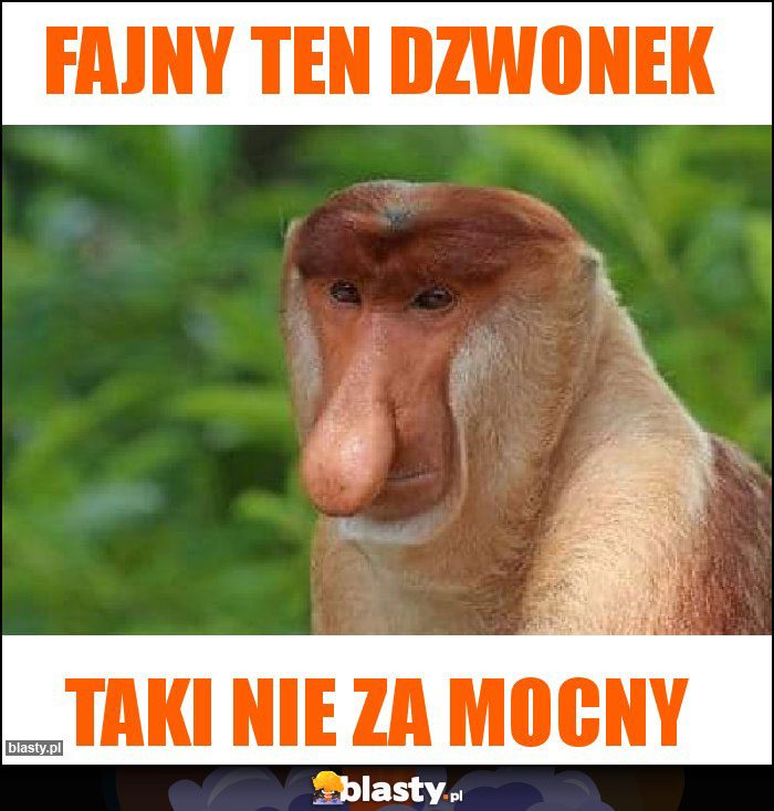 Fajny ten dzwonek