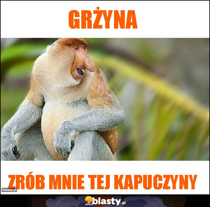 GRŻYNA