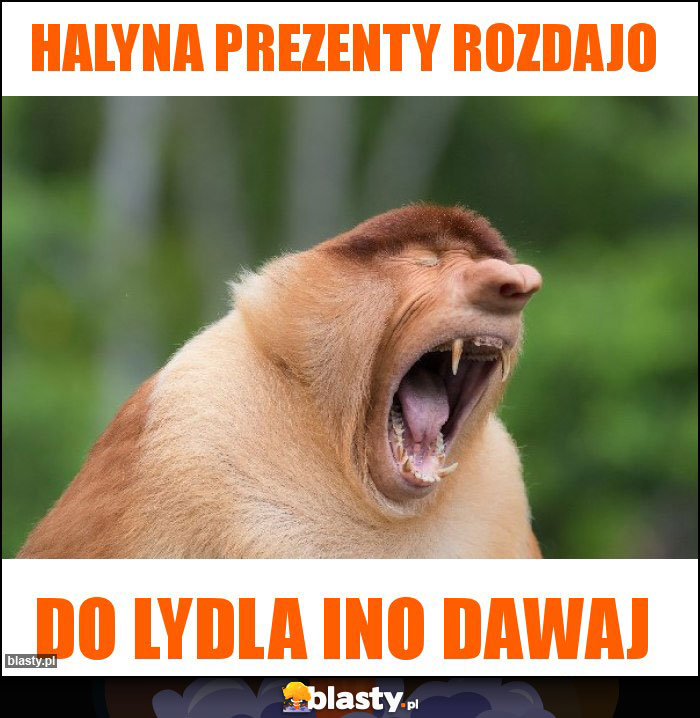 HALYNA PREZENTY ROZDAJO