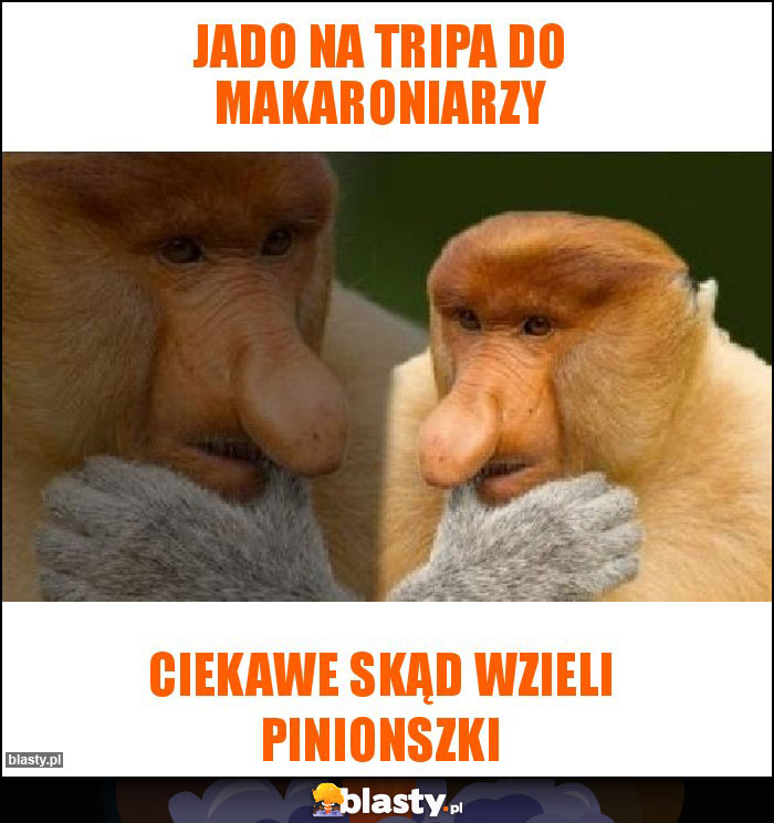 Jado na tripa do makaroniarzy