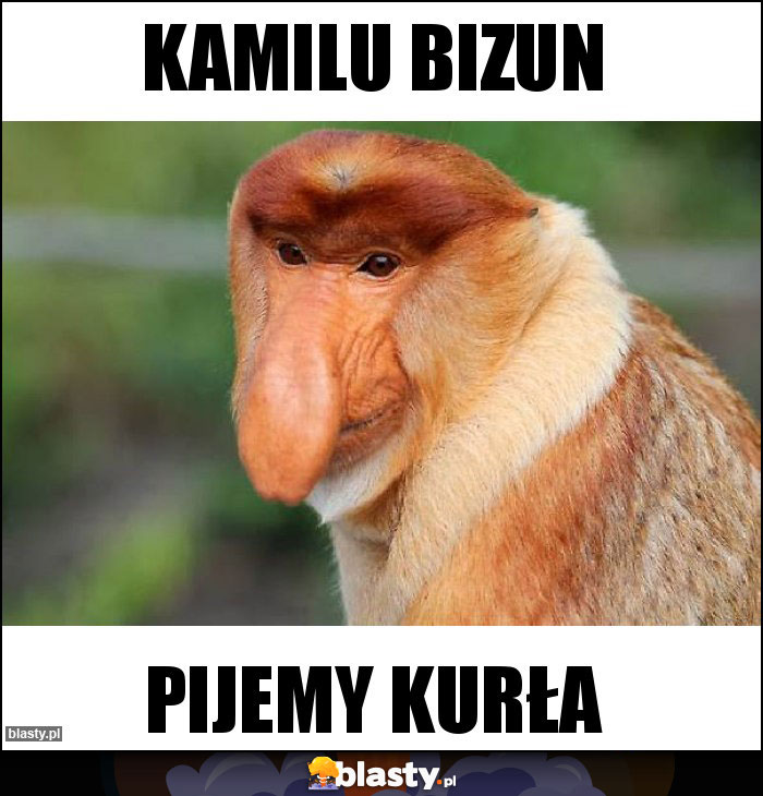 Kamilu Bizun
