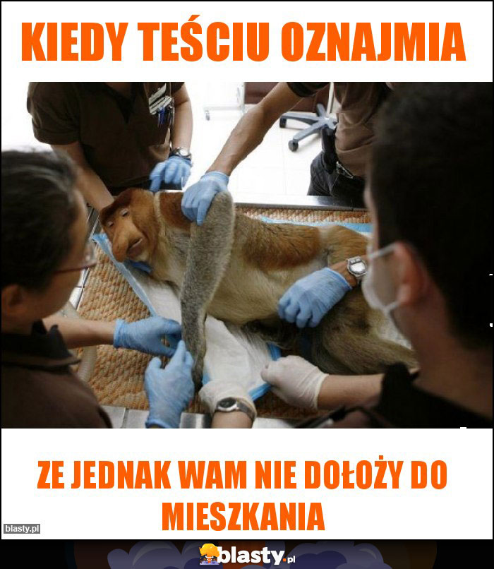 Kiedy teściu oznajmia