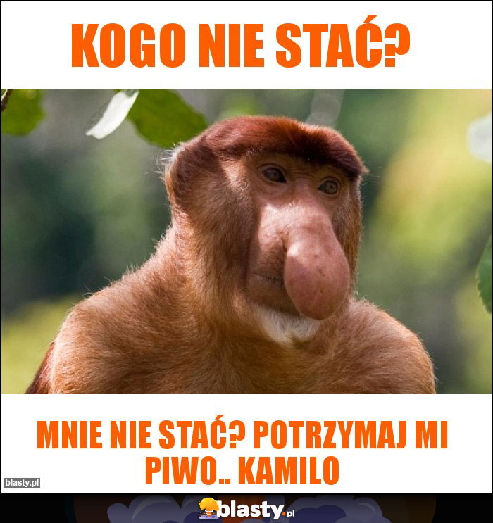 Kogo nie stać?