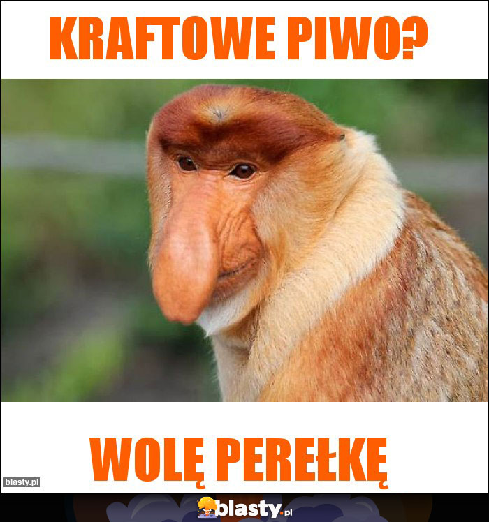 Kraftowe piwo?