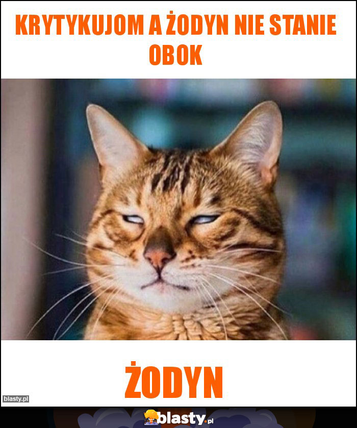 Krytykujom a żodyn nie stanie obok