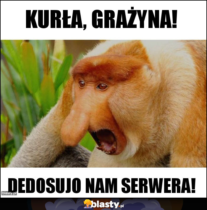 Kurła, Grażyna!
