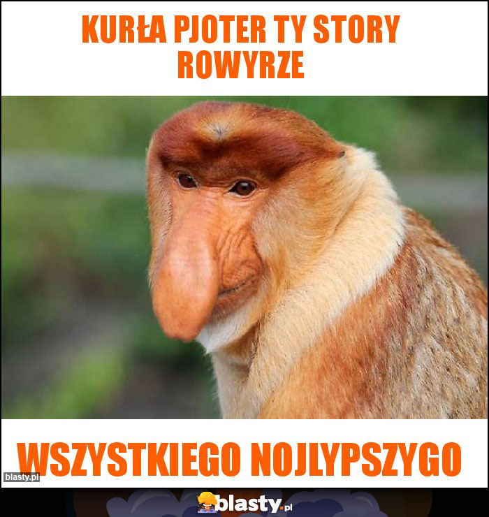 Kurła pjoter Ty story rowyrze