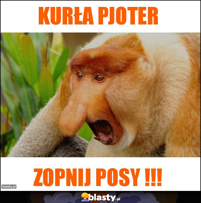 Kurła Pjoter