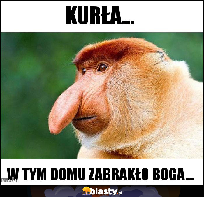 Kurła...