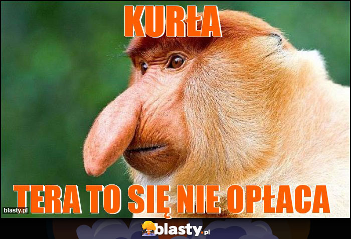 Kurła