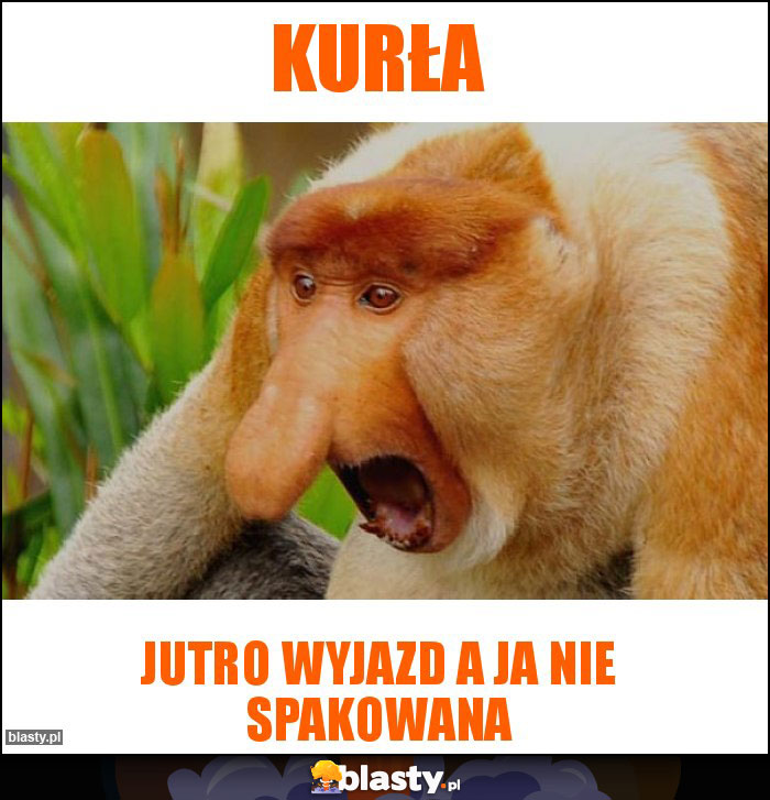 Kurła