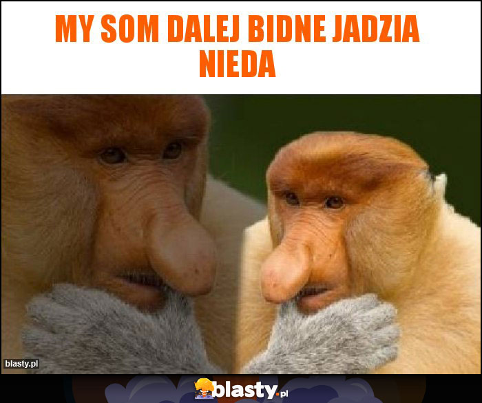 My som dalej bidne Jadzia nieda