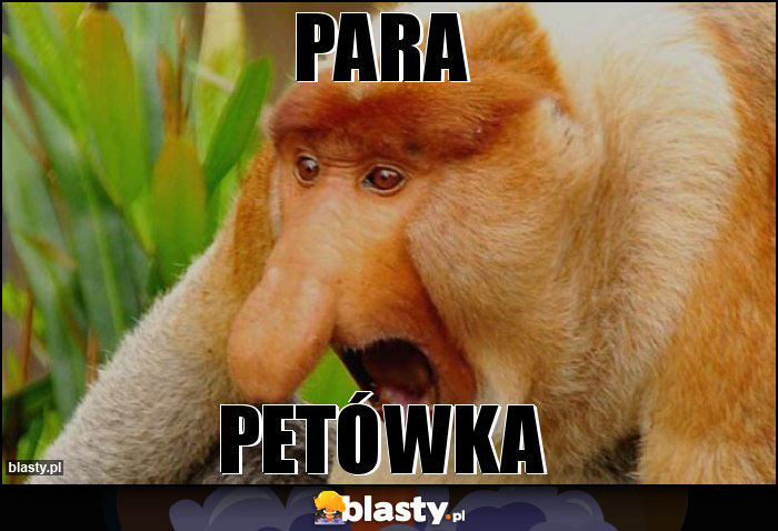 PARA