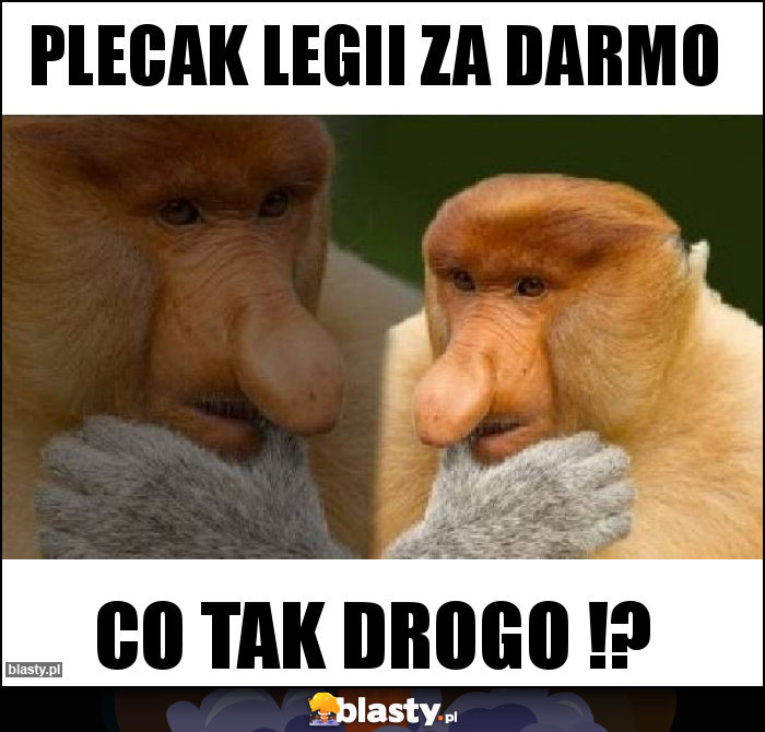 PLECAK LEGII ZA DARMO