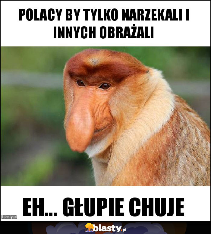 Polacy by tylko narzekali i innych obrażali