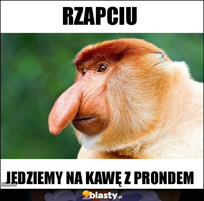 Rzapciu