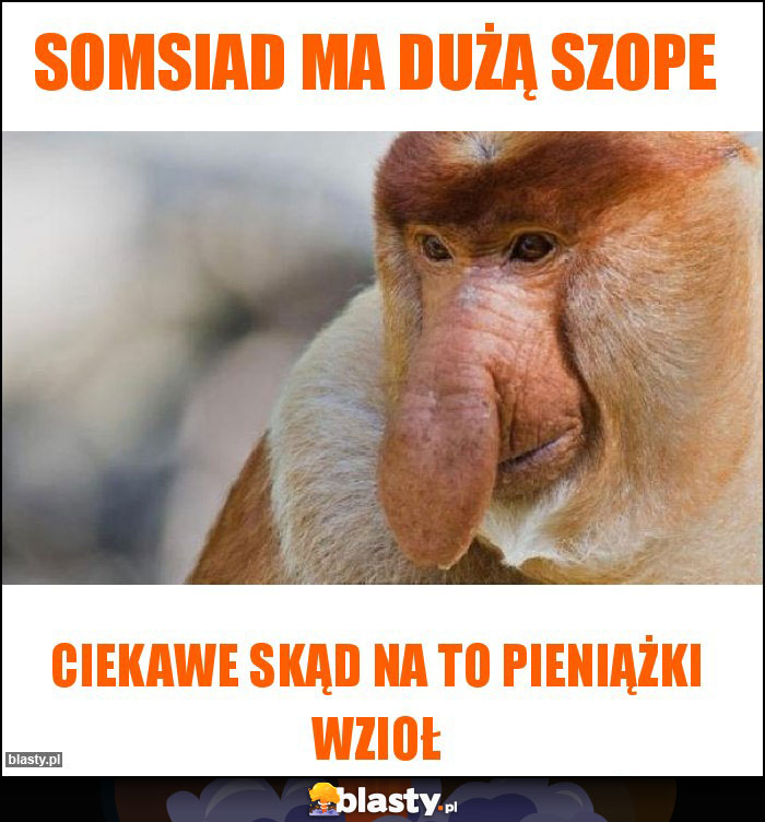 Somsiad ma dużą szope