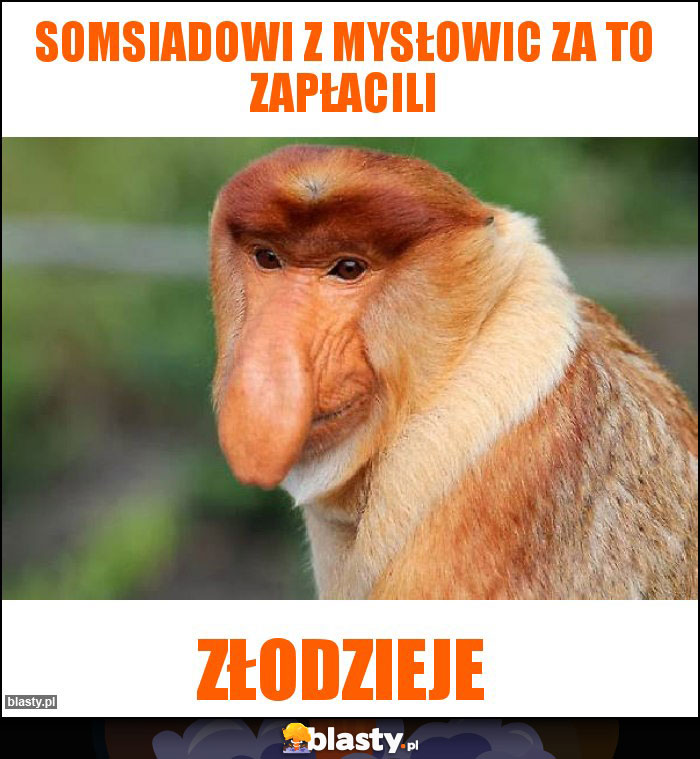 Somsiadowi z Mysłowic za to zapłacili