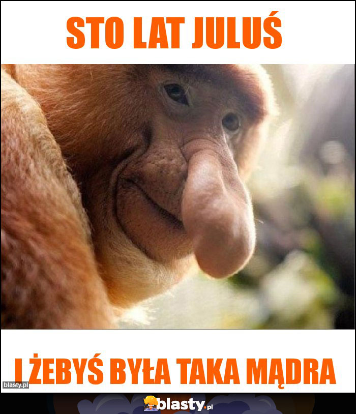 STO LAT JULUŚ