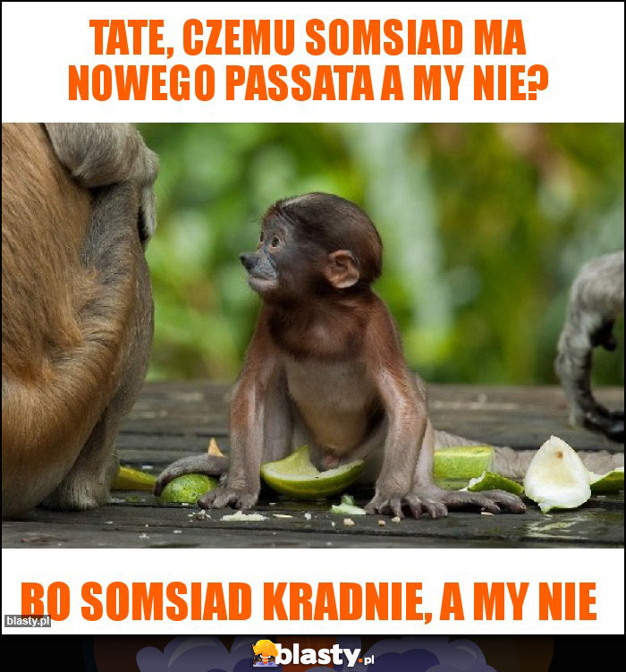 TATE, CZEMU SOMSIAD MA NOWEGO PASSATA A MY NIE?