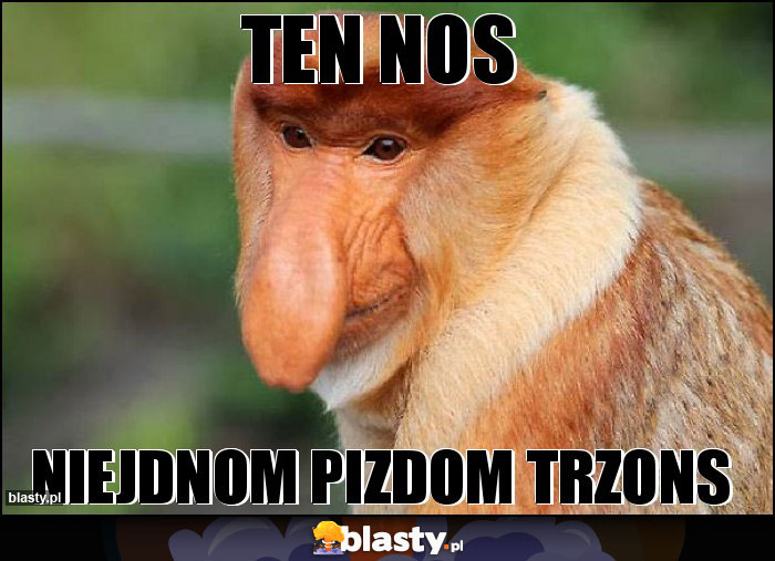 Ten nos