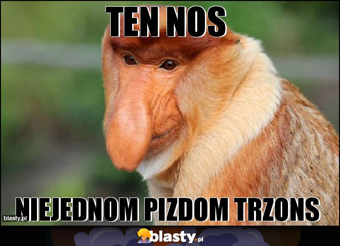 Ten nos