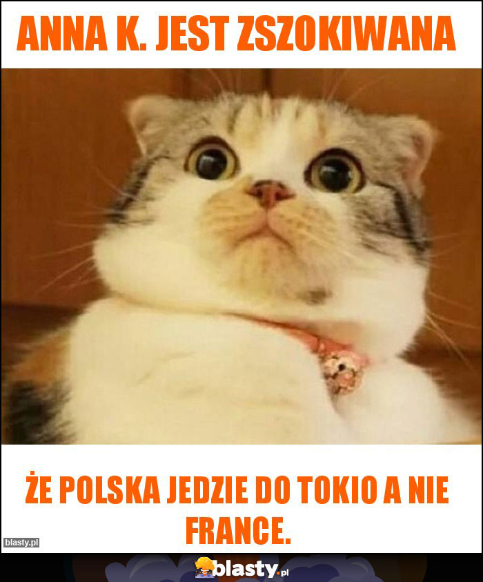 Anna K. jest zszokiwana